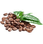 COFFEE-BEAN-PNG-MOD.png