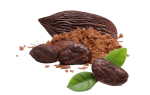 cacao-chocolat-PNG-MOD.png