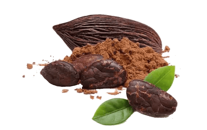 cacao-chocolat-PNG-MOD.png